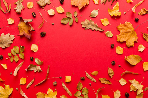 Jesienny skład z suszonych liści, szyszek i żołędzi na stole. Płaskie ułożenie, widok z góry, przestrzeń do kopiowania. - Zdjęcie, obraz