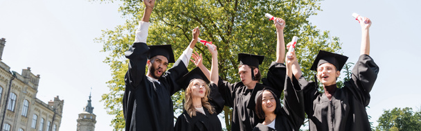 Nízký pohled na nadšené mnohonárodnostní mládence v čepicích držících diplomy v parku, banner  - Fotografie, Obrázek