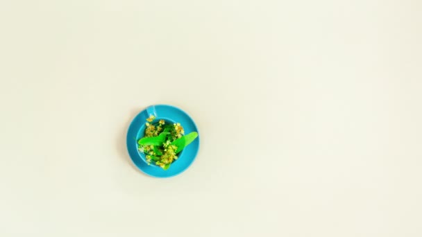4k Blaue Tasse mit Lindenblüten wird mit Tee gefüllt. Kuchen, Stoffservietten und Lindenzweige. Konzept natürlicher Blüten- und Kräutertees. Beiger Hintergrund. Stop-Motion-Animation. Flache Lage - Filmmaterial, Video