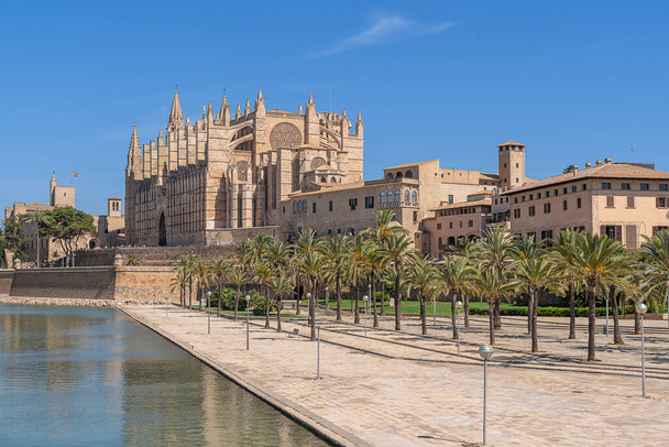 Palma Cathedral on the Balearic Island of Majorca - 写真・画像