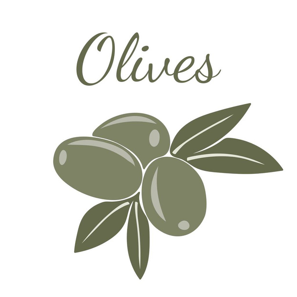 зелені оливки з листям
 - Вектор, зображення
