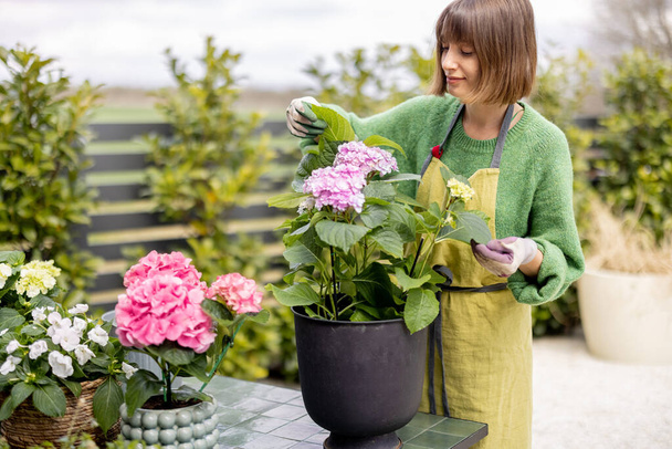 Egy fiatal nő vigyáz a virágokra a kertben. Vidám virágárus vagy háziasszony hortenzia újratöltése az asztalon a szabadban. A kertészkedés és a növénytermesztés fogalma - Fotó, kép