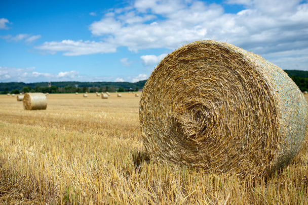 Hay bales in a farm field with blue and white sky background - Photo, Image