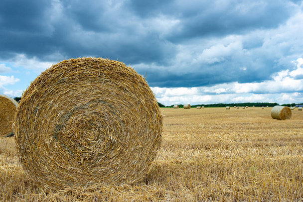 Balíky sena na farmě pole s modrou a bílou oblohou pozadí - Fotografie, Obrázek