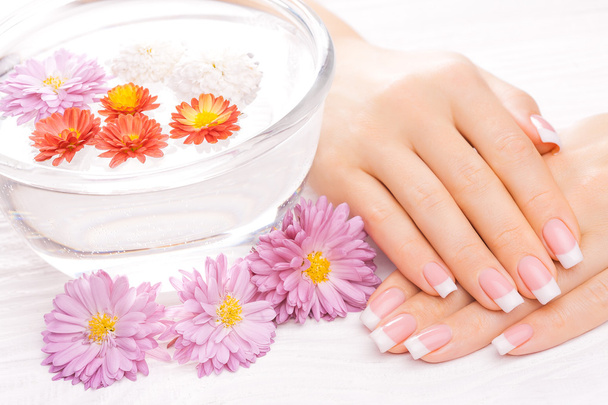 french manicure with colorful chrysanthemum - Foto, Imagen