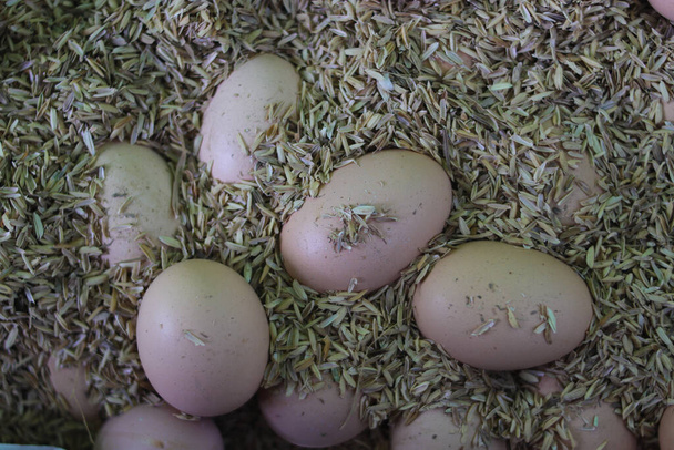 Vue du dessus d'un groupe d'œufs bruns sur une balle de riz - Photo, image
