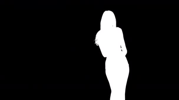 Shadow danser video van een vrouw dansen in silhouet - Video