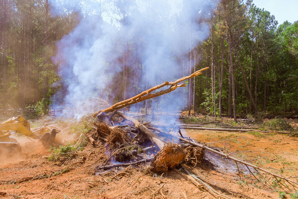 家の建設のために根こそぎにされた燃やされた木に土地を掃除する - 写真・画像