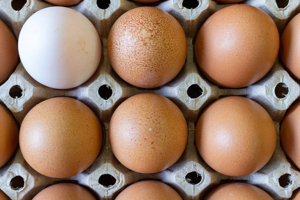 egg panel egg duck food shell fresh brown. - Foto, Imagen
