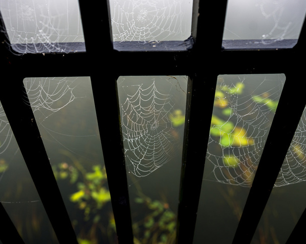 cobwebs on bridge - Photo, Image