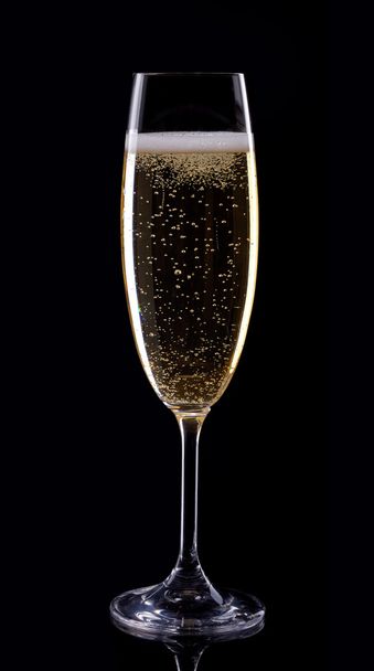 Champagne - Photo, image