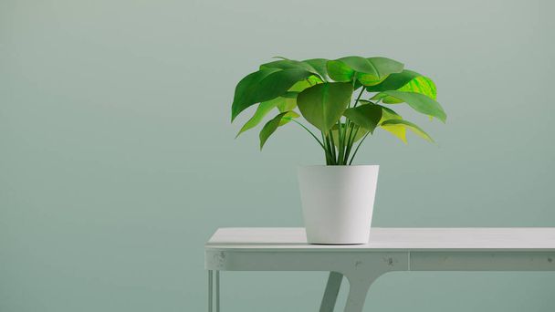 A 3D rendering of a minimalistic background with a plant on a table - Fotografie, Obrázek