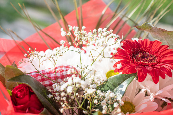 bouquet de fleurs rouges close-up - Photo, image