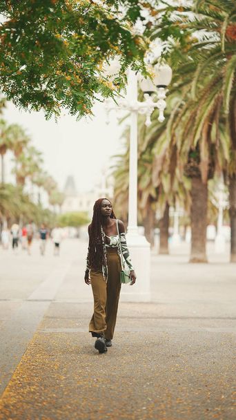 Gorgeous woman with African braids wearing walks down the street. Stylish girl walking on the park - Foto, Imagem