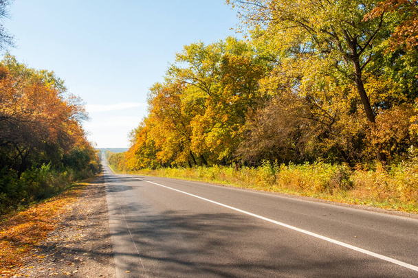 Asphalt road and bright autumn trees. Fairytale colorful autumn forest.Colorful leaves around the road. - 写真・画像