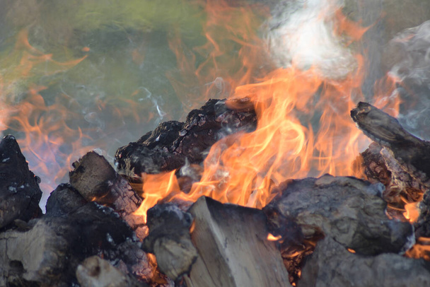 Wooden logs in a bonfire burning outdoor - Fotoğraf, Görsel