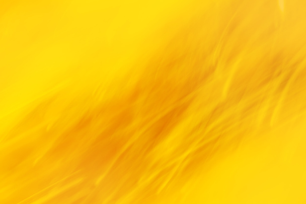 Mellifluent μέλι χρώμα θολή φόντο. Honeyed χρώμα γλυκό bokeh θολούρα από το φόντο εστίασης. - Φωτογραφία, εικόνα