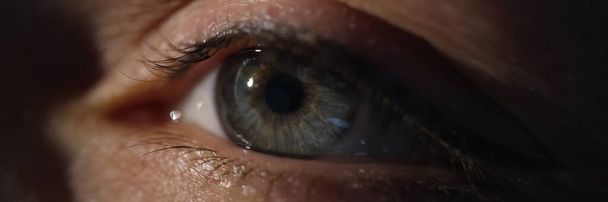 Closeup of woman green eye in dark. Slit lamp examination concept - 写真・画像