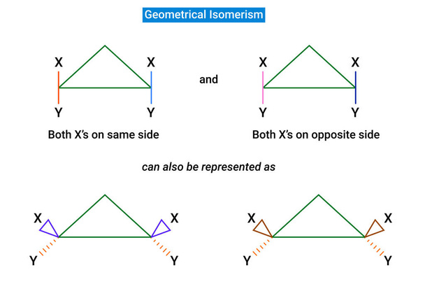 A ciklikus szerkezetnek köszönhető geometriai izomerizmus - Vektor, kép