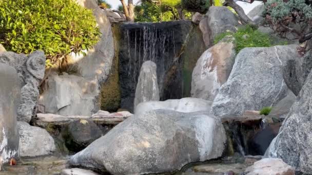 Flowing Water on a Small Cascade in the Buenos Aires Japanese Garden (Jardin Japones), Public Garden in Buenos Aires, Argentina. Rozlišení 4K. - Záběry, video