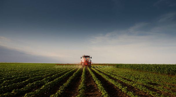 Traktor, amely a peszticideket a szója mező permetező tavasszal - Fotó, kép