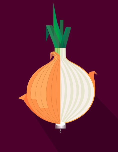 Cut onion head with light core and green stems on crimson background, stylized image, vector illustration - Vector, Image