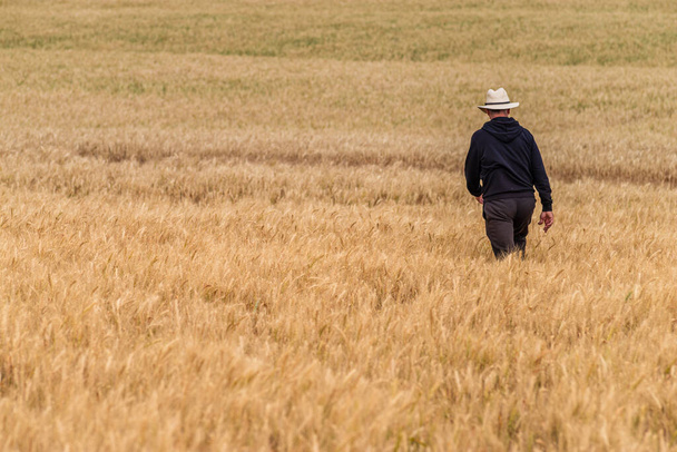 agronomist Farmer walking through a golden wheat field, dressed in black clothes and white hat, space for text, cloudy, summer, harvest - Photo, Image
