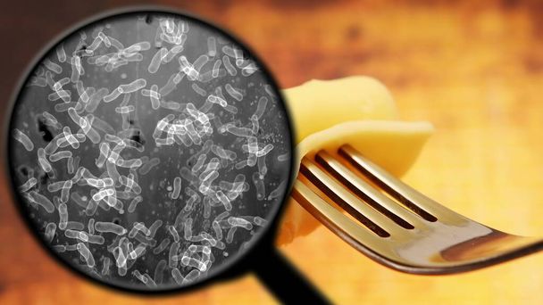 食物中の細菌を探す - 写真・画像