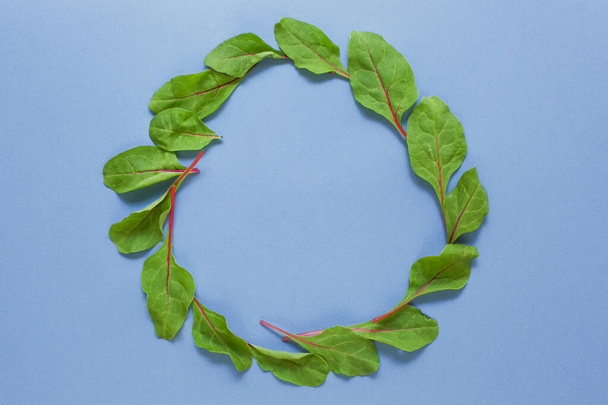 Frame of spinach leaves on a blue background with copy space. Fresh garden salad concept - Foto, afbeelding