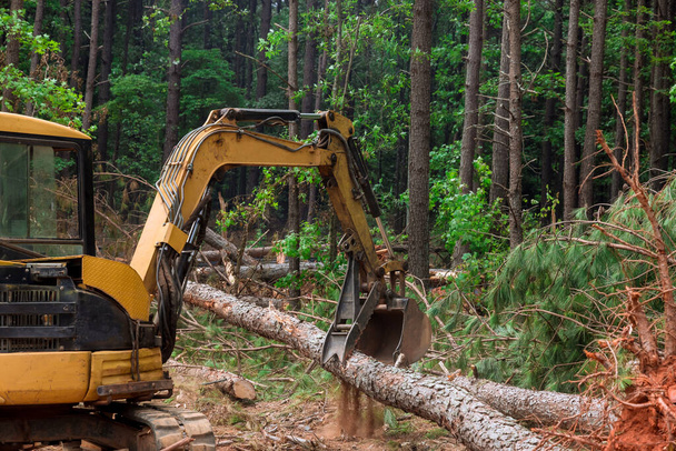 Prowadzone są prace nad manipulatorem ciągnikiem w lasach, który podnosi kłody oczyszczające grunty pod budownictwo mieszkaniowe. - Zdjęcie, obraz