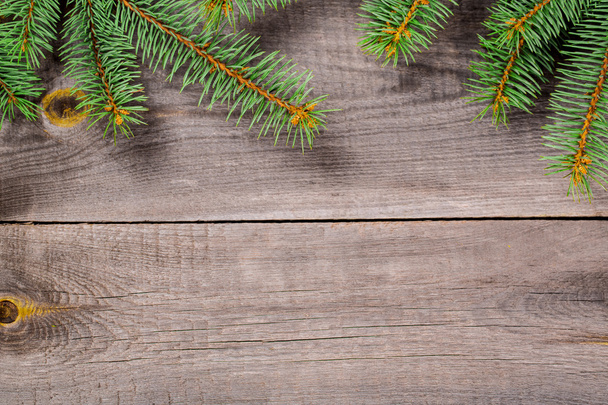 Christmas fir tree background - Valokuva, kuva