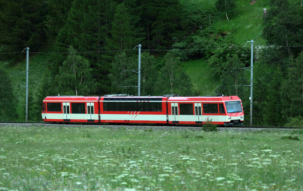 Liikkeessä hämärtää panorointi laukaus Zermatt shuttle juna aamulla - Valokuva, kuva