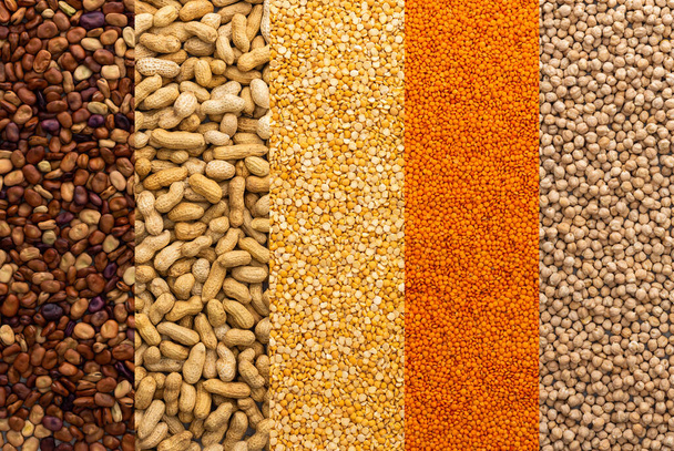 Different types of legumes, chickpeas and yellow peas, brown beans and lentils and peanuts, top view - Photo, image
