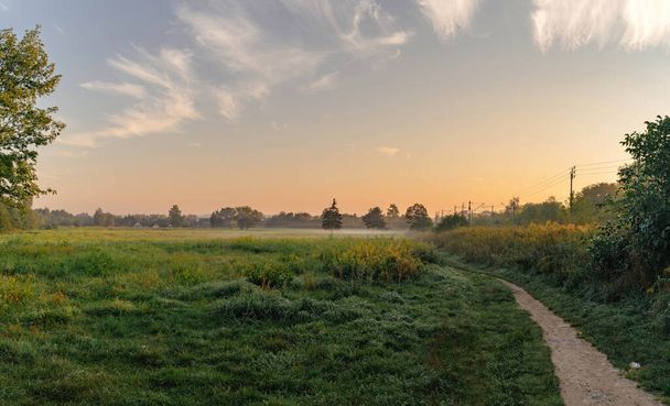 Paisaje que muestra Campo abierto con hierba y un camino que conduce a un árbol por la mañana con la luz del sol penetrando directamente durante el amanecer contra nubes dramáticas, belleza en la naturaleza - Foto, imagen