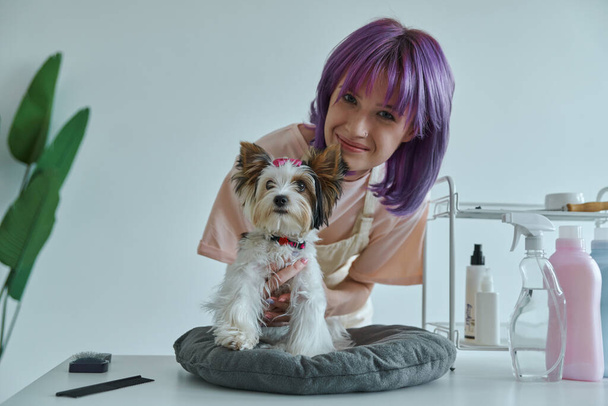 Attractive young woman taking care of little dog at the grooming salon - Fotografie, Obrázek