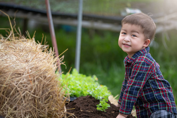 Маленькие фермеры живут в органических овощных теплицах, здоровом семейном образе жизни. Фермерские дети. - Фото, изображение