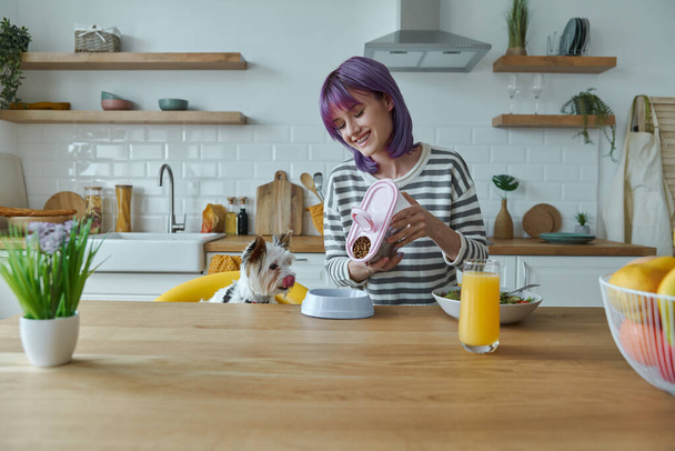 Cheerful young woman feeding her little dog while sitting at the kitchen island - Foto, Bild
