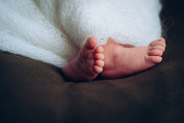 Legs of a newborn. Baby feet covered with white blanket. The tiny foot of a newborn in soft selective focus. High quality photo - Fotó, kép