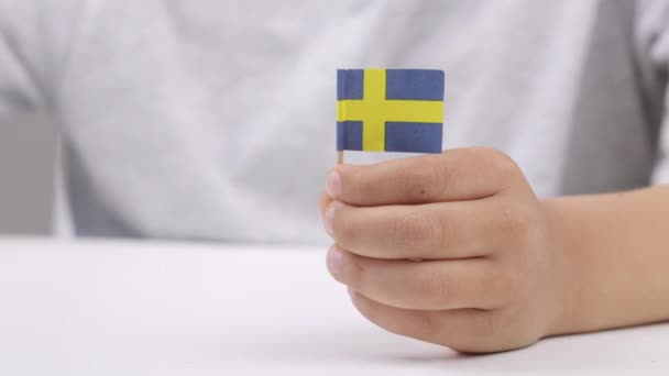 Niño caucásico de 9 años mantiene pequeña bandera de Suecia. Imágenes de alta calidad 4k - Metraje, vídeo