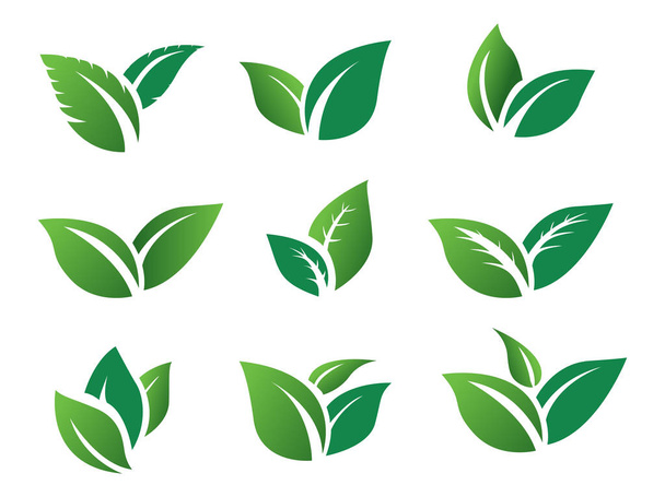 stock vector set green leaf icon eco. green leaves plant nature garden. icon botanical collection - Вектор,изображение