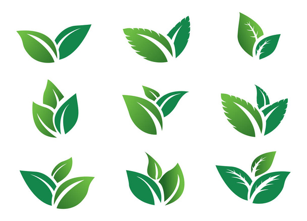 stock vector set green leaf icon eco. green leaves plant nature garden. icon botanical collection - Διάνυσμα, εικόνα