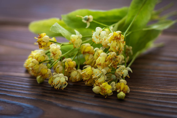Група липових квітів і листя на дерев'яному столі для липового трав'яного чаю трав'яна терапія та натуральне лікування
. - Фото, зображення