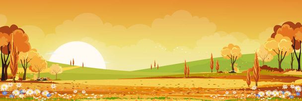 Autunno paesaggio rurale in luce serale con tramonto, giallo, sfondo cielo arancione, vettoriale pano Cartoni animati stagione autunnale in campagna con albero della foresta e campo di erba con alba, sfondo banner naturale  - Vettoriali, immagini