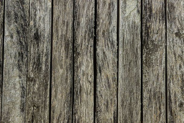 Textur alter getrockneter Holzbretter. Alte Holzbretter als Hintergrund für Ihr Image. - Foto, Bild