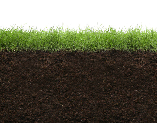 Soil with lush green grass on white background - Zdjęcie, obraz