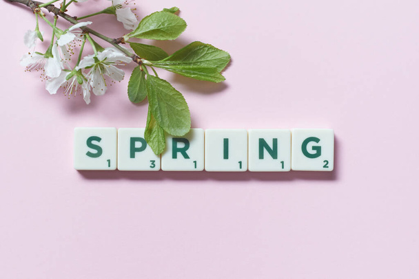 Spring word formed of scrabble tiles with fresh tree blossom on pink background. Creative seasonal template design in pastel colors. - Foto, afbeelding