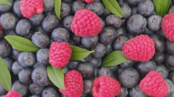Blueberry and Raspberry, rotating backdrop. close-up. Blueberry and Raspberry with green leaf on rotating backdrop. close-up. Berries. Various colorful berries rotation background.Bio Fruits, Healthy - Footage, Video