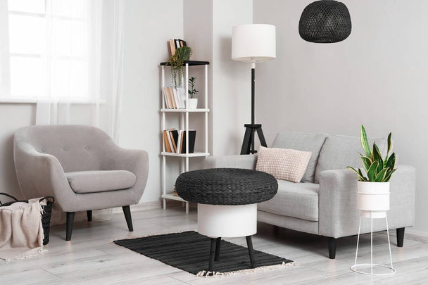 Stylish interior of light living room with grey furniture - 写真・画像