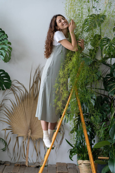 Jonge vrolijke Duitse vrouwelijke plantenliefhebber die op trapladder staat en aspergevarens huisplant omarmt, geniet van plantenverzorging en tuinieren, tijd doorbrengen in de natuur en tropische planten kweken - Foto, afbeelding