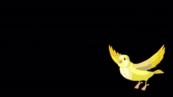Yellow canary takes off and flies. Handmade animated looped HD footage isolated on alpha channel - Séquence, vidéo